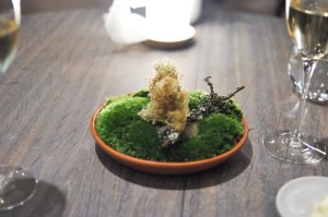 noma copenhagen moss and cep