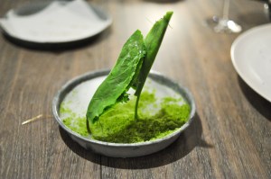 noma copenhagen sorrel leaf cricket paste