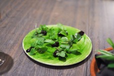 noma copenhagen potato snails