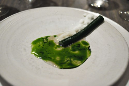 noma copenhagen razor clam parsley dill