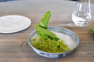 noma copenhagen sorrel cricket nasturtium