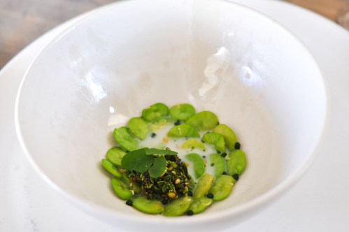noma copenhagen fava beans