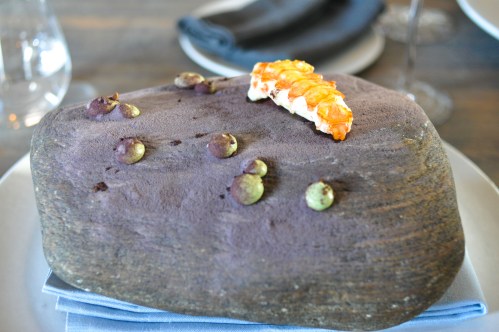 noma copenhagen langoustine sol