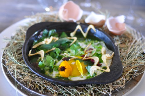 noma copenhagen hen egg diy