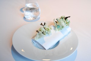 geranium copenhagen seaweed chips