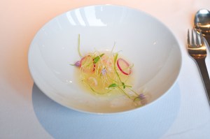 geranium copenhagen onions melted hay cheese