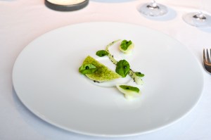 geranium copenhagen iron minerals