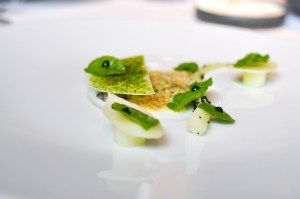 geranium copenhagen iron minerals