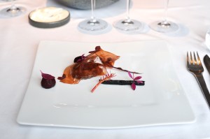 geranium copenhagen venison red leaves stems