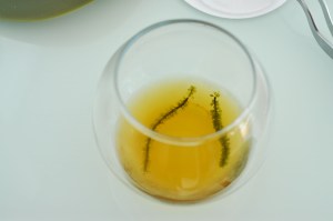 quique dacosta sea currant