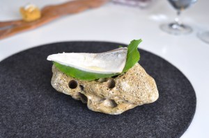 quique dacosta pepperwort