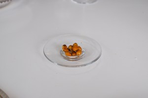 quique dacosta tiger nuts