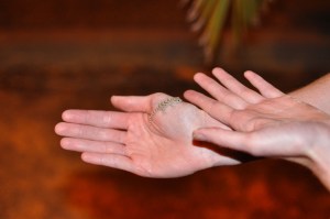 quique dacosta lizard