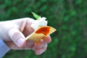 mugaritz kraft marine paper