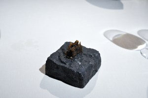 mugaritz fishbones