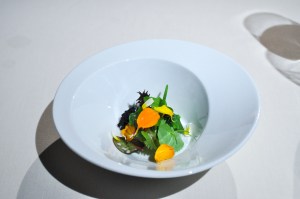 mugaritz cultivated herbs vegetables