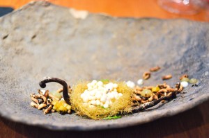 atelier crenn corn silk nest