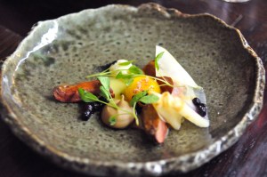 catbird seat palmetto pigeon