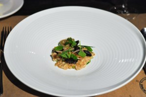 gwynnett st snails farro crosnes