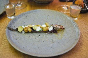 aska herring potato jumiper