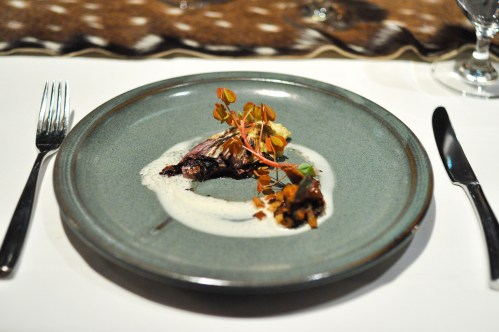 next the hunt duck tongue cider vinegar