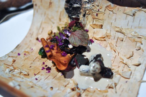 next the hunt fallen leaves kidney