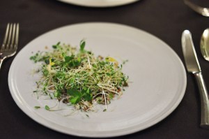 betony nyc grain salad