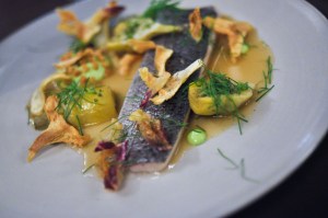 betony nyc brook trout