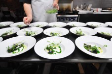 el ideas chicago plating