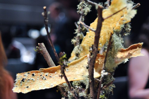 next vegan starter cracker