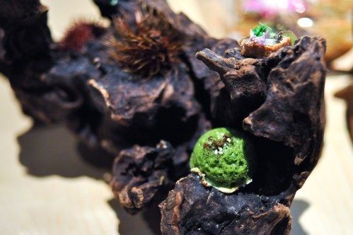 next vegan sprouted tempeh