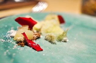 next vegan fermented apples