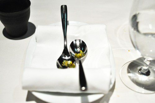 next vegan szechuan buttons