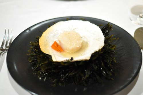 aubergine carmel diver scallop