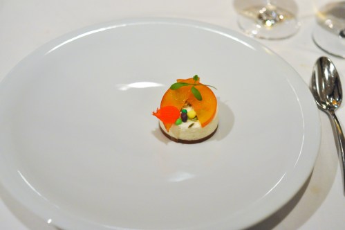 aubergine carmel bavarois