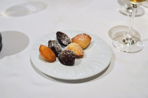 aubergine carmel madelines