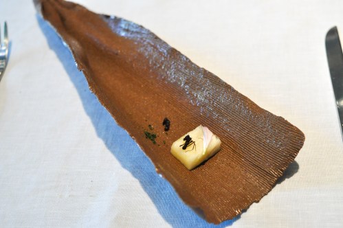 dom sao paulo amazonic ant