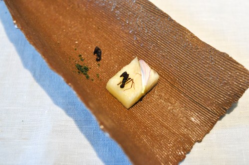 dom sao paulo ant pineapple