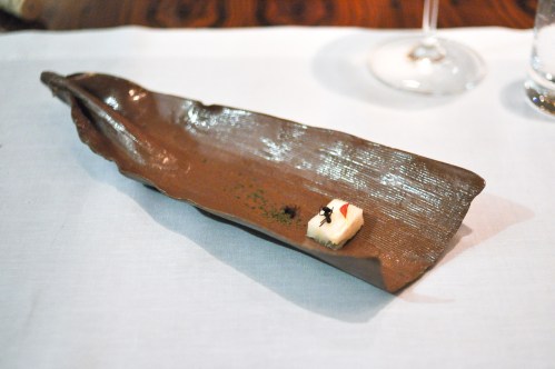 dom sao paulo amazonic ant