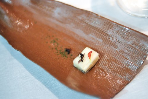 dom sao paulo amazonian ant pineapple