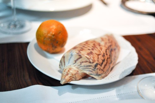 dom sao paulo sea snail brazilian lime