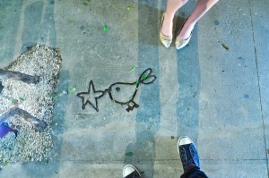 mani sao paulo sidewalk bird