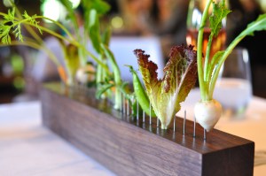 blue hill farm vegetables