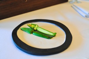 blue hill farm first zucchini