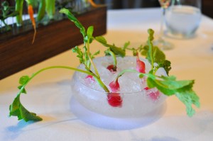 blue hill farm radishes