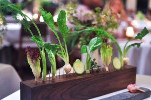 blue hill stone barns garden vegetables