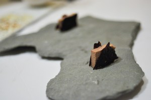 blue hill chocolate pork liver