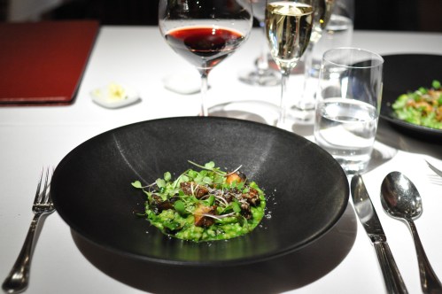 gramercy tavern mushroom barley arugula