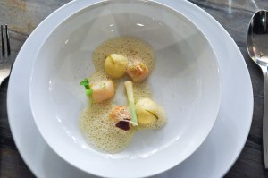 little elm nantucket bay scallop