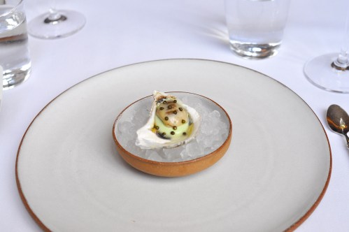 eleven madison park oyster vichyssoise